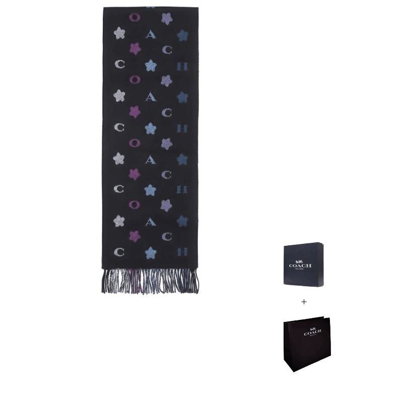 Шарф Coach Star Printed - Boxette Shop